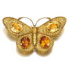 Georgian jewelry. Butterfly Brooch