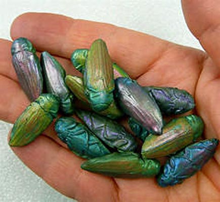 Polymer clay artwork