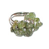 Item Preview: Ring