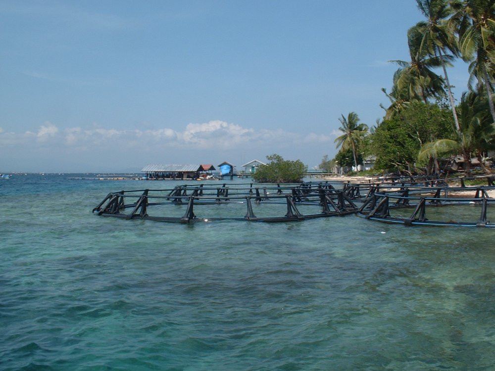 Pearl Farm on Seram, Indonesia