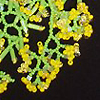 Beaded Flower Garden by Svetlana Eltsova