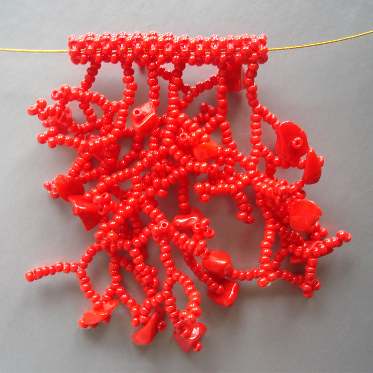 Corals by Victoriya Katamashvili