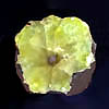 Sliced prehnite fragment