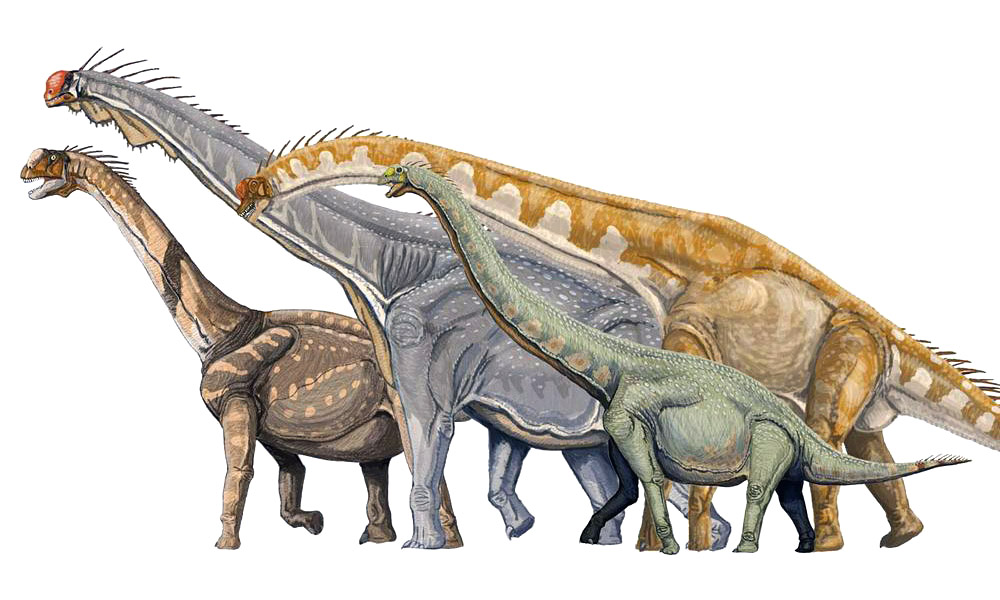 Several Dinosaurs
