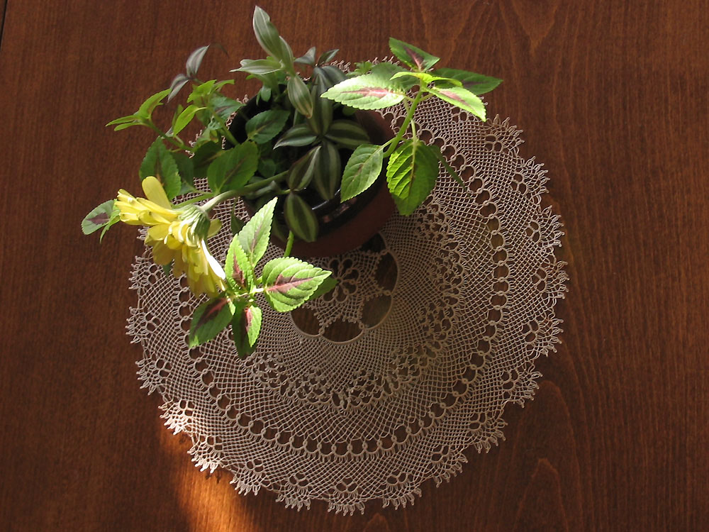 Lacework by Rumyana Rakovska