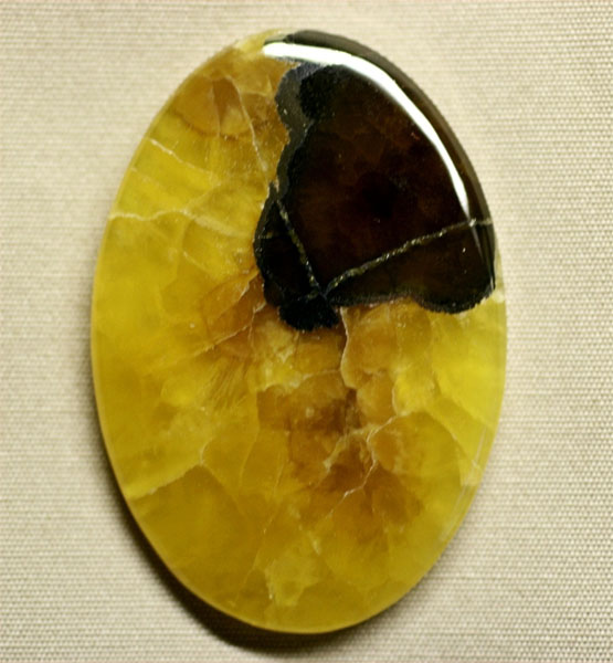 Simbircite fossil cabochon