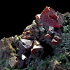 Cuprite with malachite - Dikuluwe Mine, Democratic Republic of Congo