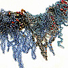 The 30th Biennial Creative Crafts Council Exhibition Honorable Mention: Coral Island Necklace