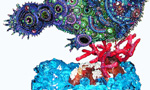 New Dimensions in Beadwork - An Overview of Bead Sculpture