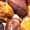 Unpolished amber stones