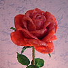 Beaded roses by Alex Kramarenko