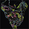Beaded jewelry by Gladys Seaward